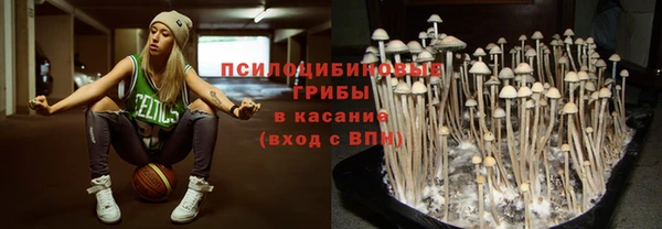 ПСИЛОЦИБИНОВЫЕ ГРИБЫ Кинешма