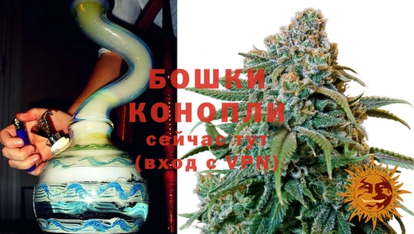 ПСИЛОЦИБИНОВЫЕ ГРИБЫ Кинешма