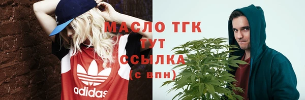 гидра Киренск