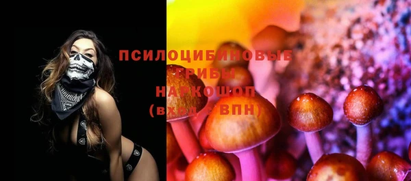 ПСИЛОЦИБИНОВЫЕ ГРИБЫ Кинешма