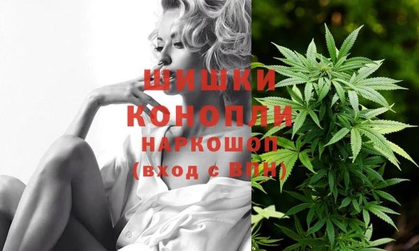 гидра Киренск