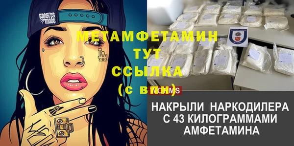 гидра Киренск