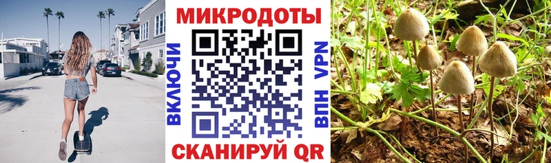 Купить где  Яблоновский  Галлюциногенные грибы ЛСД 